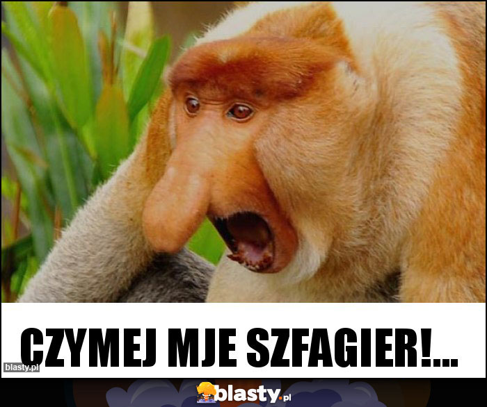CZYMEJ MJE SZFAGIER!... CZYMEJ MJE SZFAGIER!...