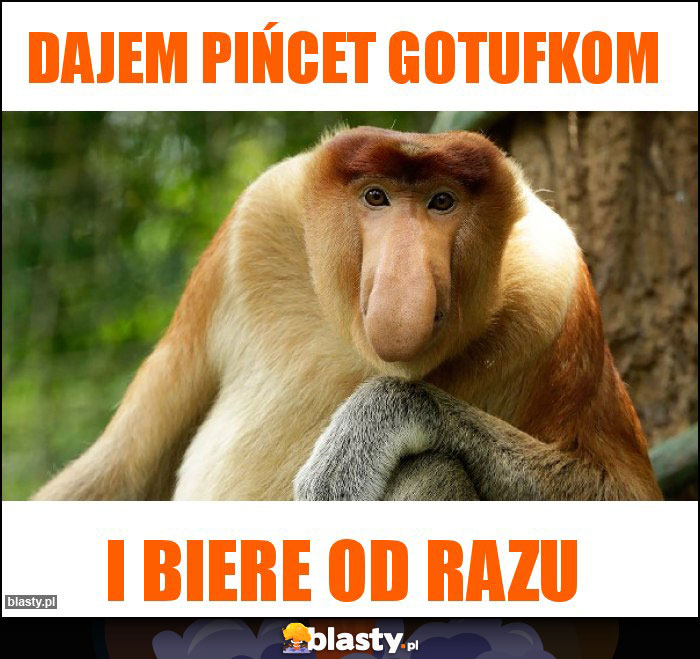 Dajem pińcet gotufkom Dajem pińcet gotufkom