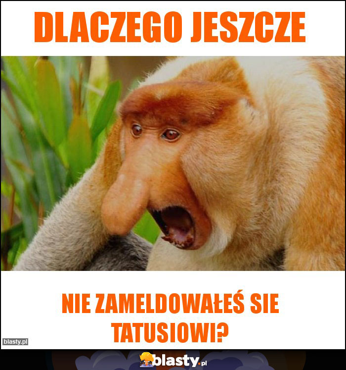 Dlaczego jeszcze Dlaczego jeszcze