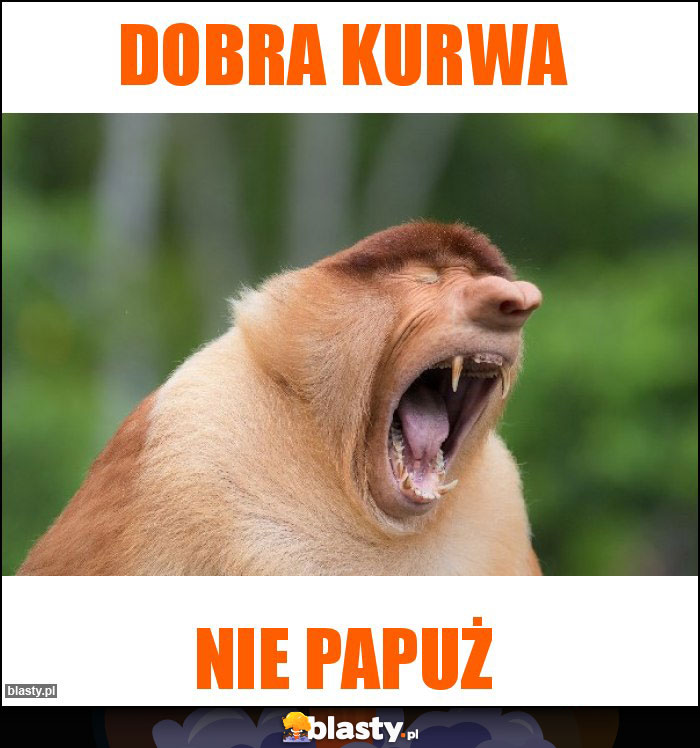 Dobra kurwa Dobra kurwa