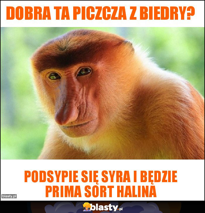 Dobra ta piczcza z biedry? Dobra ta piczcza z biedry?