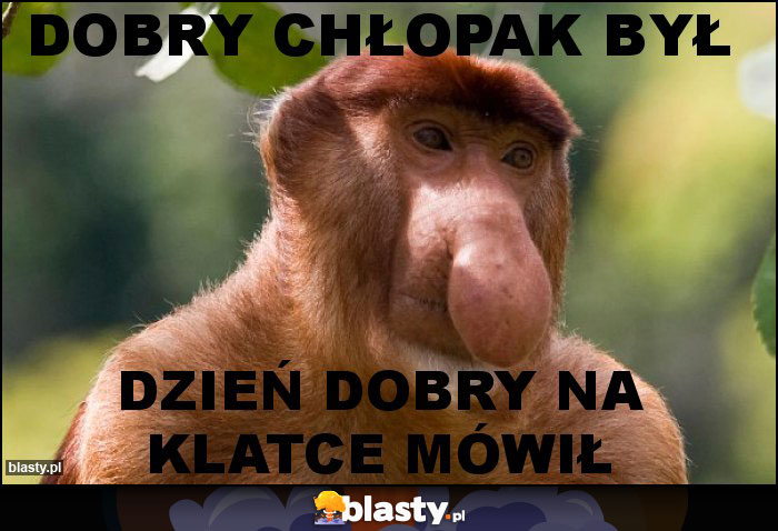 Dobry chłopak był Dobry chłopak był