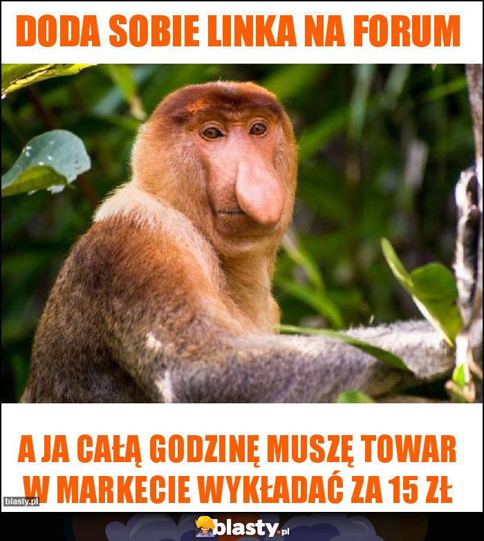 DODA SOBIE LINKA NA FORUM