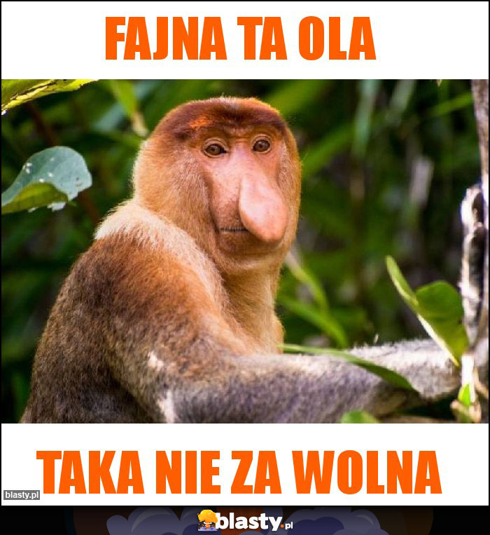 FAJNA TA OLA FAJNA TA OLA