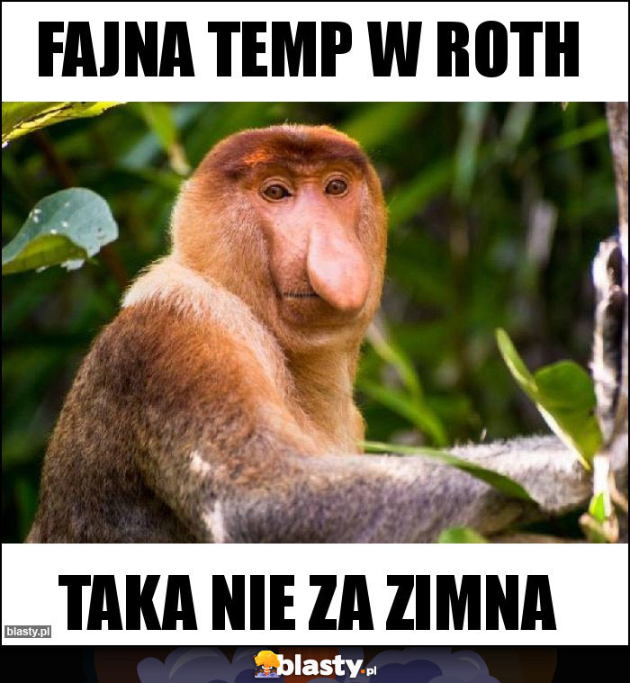 FAJNA temp w Roth FAJNA temp w Roth