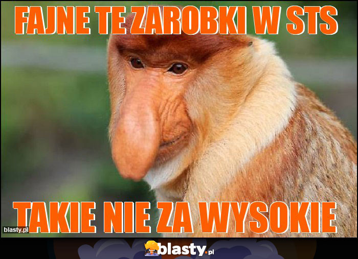 Fajne te zarobki w STS Fajne te zarobki w STS