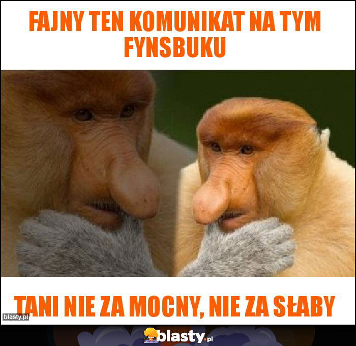 Fajny ten komunikat na tym fynsbuku Fajny ten komunikat na tym fynsbuku