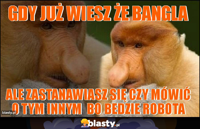 Gdy już wiesz że bangla Gdy już wiesz że bangla