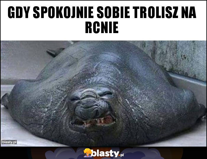 Gdy spokojnie sobie trolisz na rcnie Gdy spokojnie sobie trolisz na rcnie