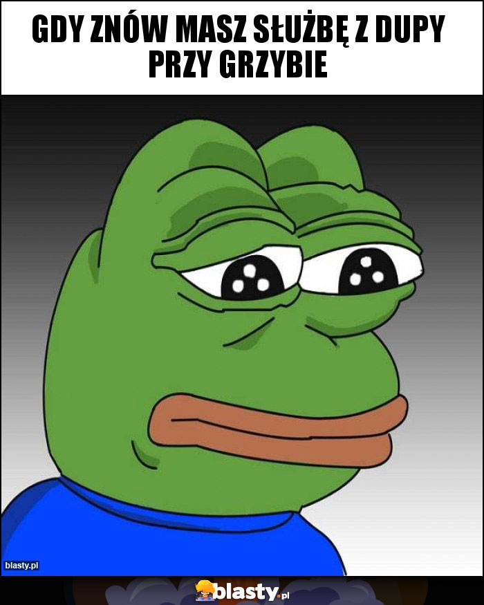 Gdy znów masz służbę z dupy przy grzybie