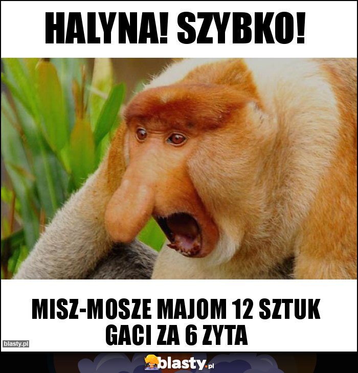 Halyna! Szybko! Halyna! Szybko!