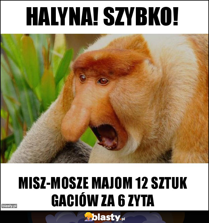 Halyna! Szybko! Halyna! Szybko!