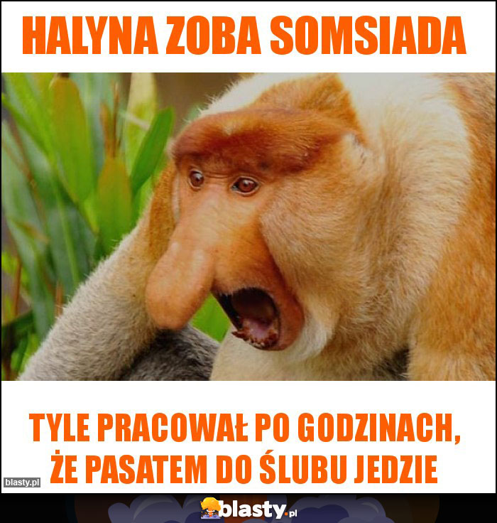 Halyna zoba somsiada Halyna zoba somsiada