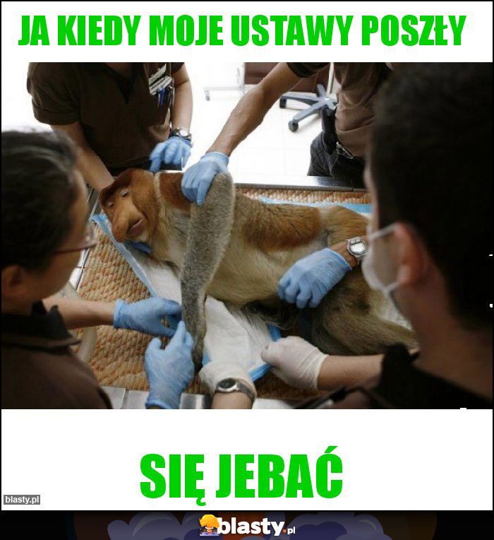 Ja kiedy moje ustawy poszły Ja kiedy moje ustawy poszły