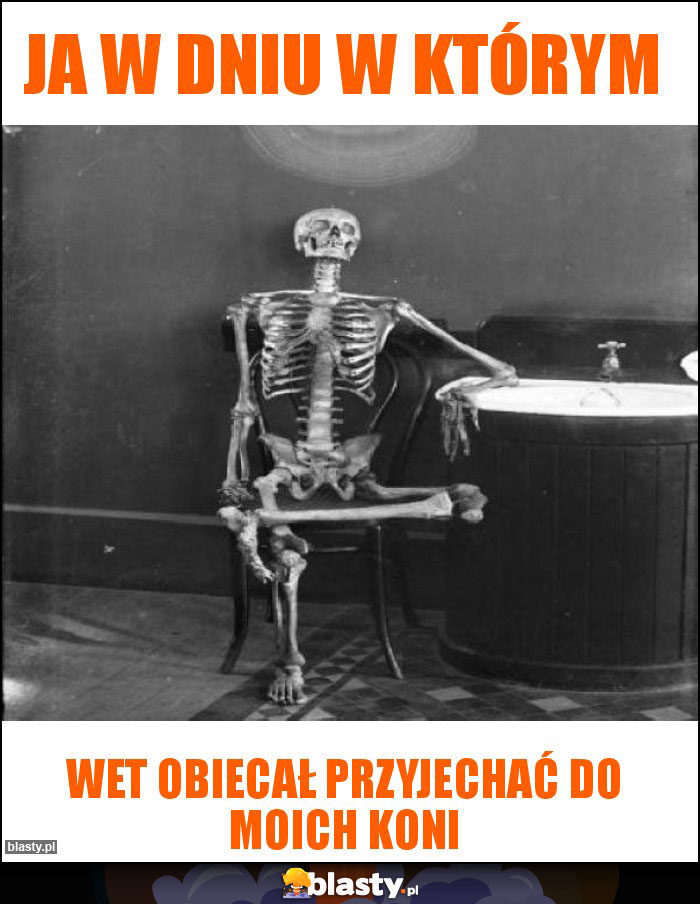 Ja w dniu w którym Ja w dniu w którym