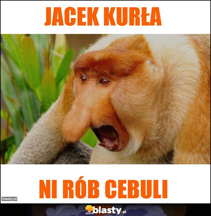 Jacek kurła Jacek kurła