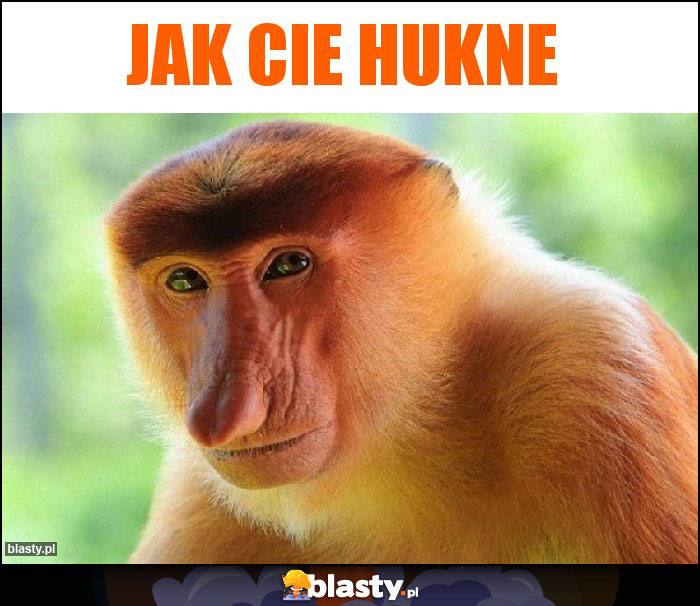 Jak Cie hukne Jak Cie hukne