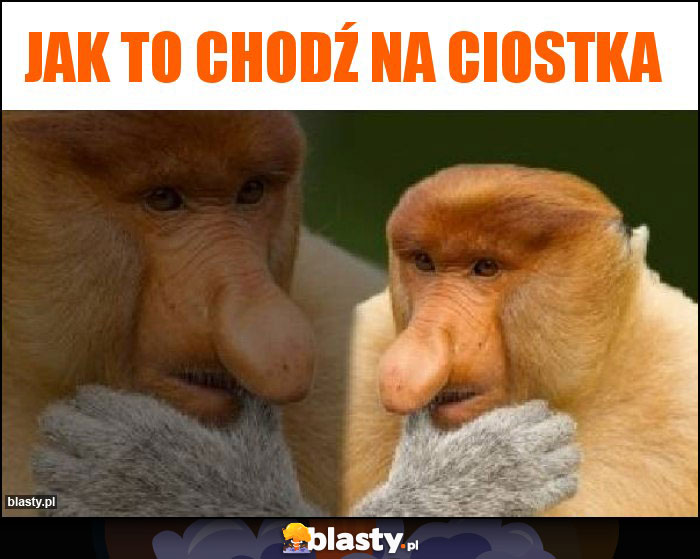 Jak to chodź na ciostka Jak to chodź na ciostka