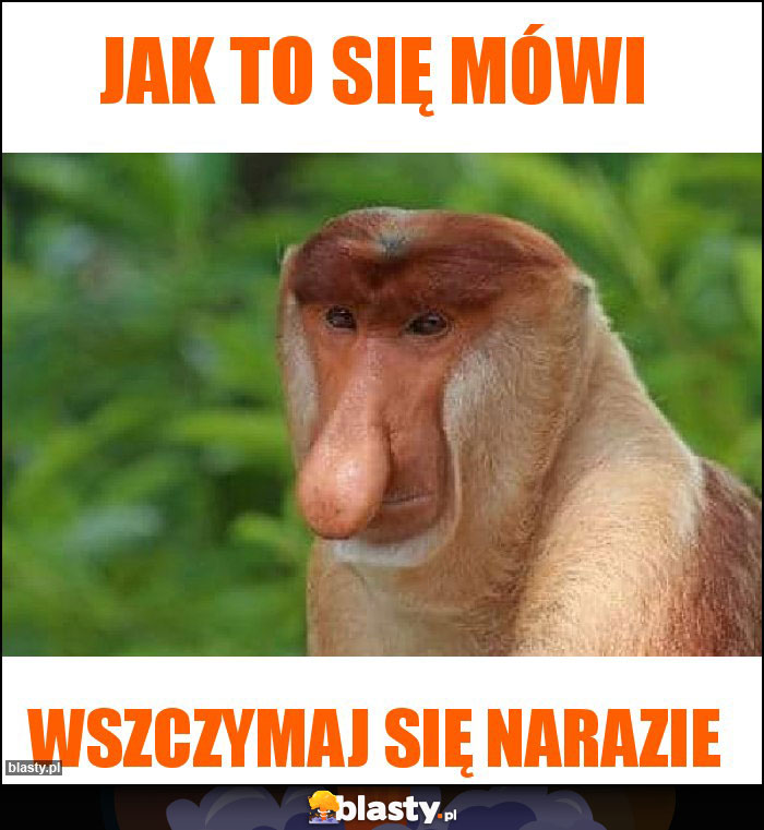 Jak to się mówi Jak to się mówi