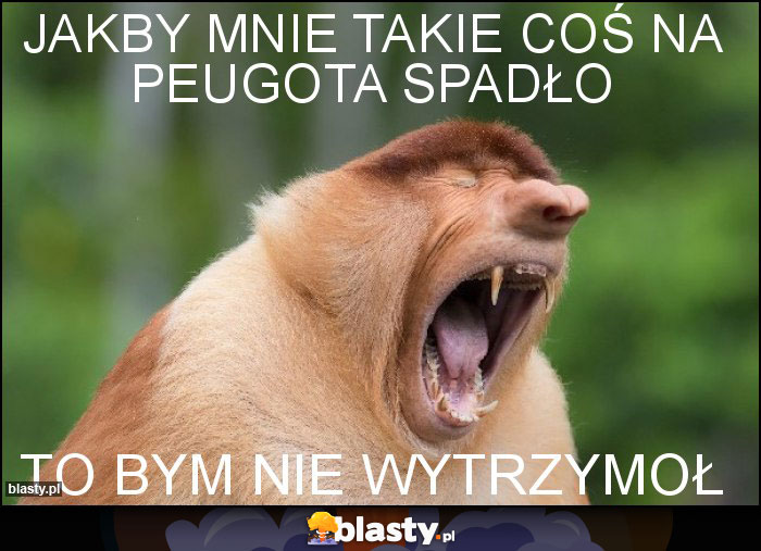 JAkby mnie takie coś na peugota spadło JAkby mnie takie coś na peugota spadło