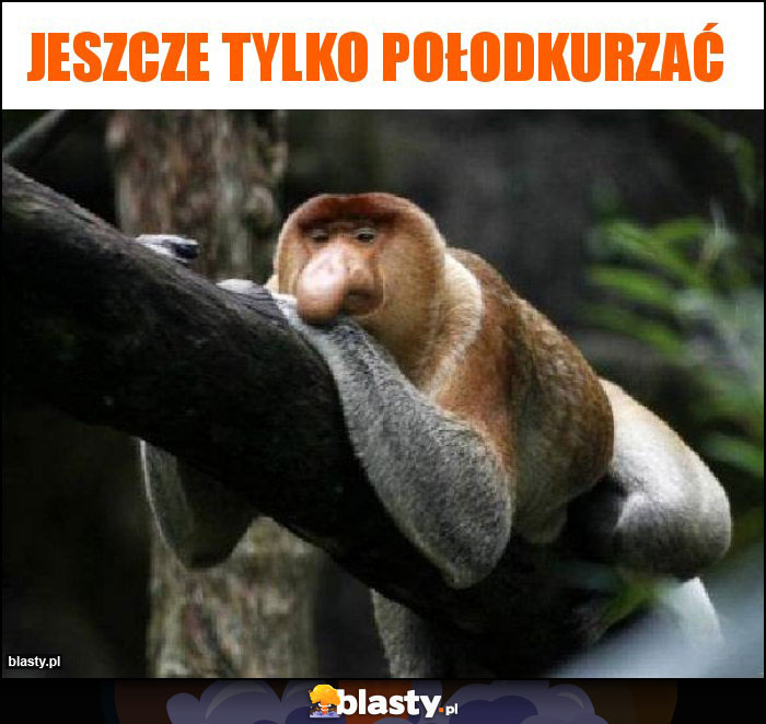 Jeszcze tylko połodkurzać Jeszcze tylko połodkurzać
