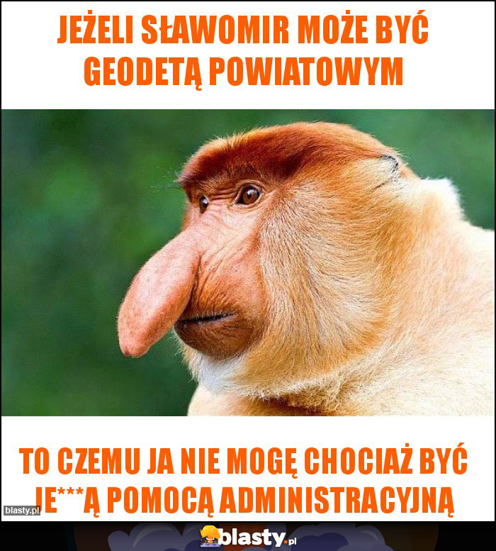 Jeżeli Sławomir może być geodetą powiatowym Jeżeli Sławomir może być geodetą powiatowym