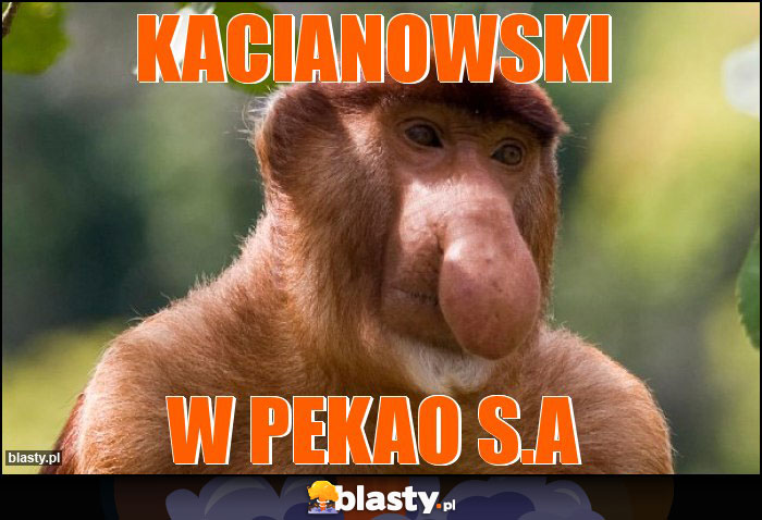 Kacianowski Kacianowski