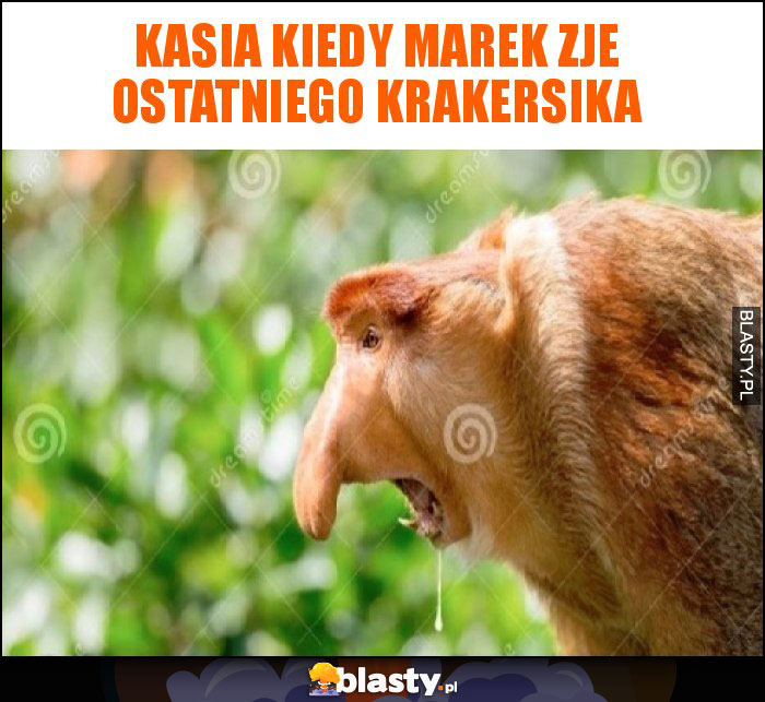 Kasia kiedy marek zje ostatniego krakersika Kasia kiedy marek zje ostatniego krakersika