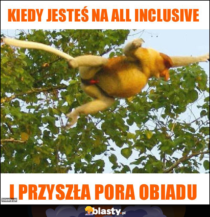 Kiedy jesteś na all inclusive Kiedy jesteś na all inclusive