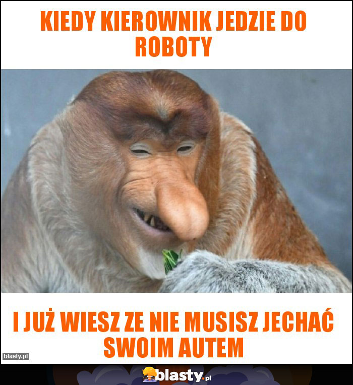 Kiedy kierownik jedzie do roboty Kiedy kierownik jedzie do roboty