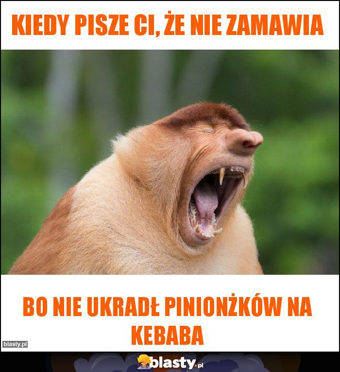 Kiedy pisze Ci, że nie zamawia Kiedy pisze Ci, że nie zamawia