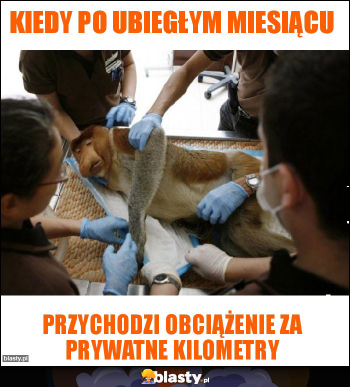 Kiedy po ubiegłym miesiącu Kiedy po ubiegłym miesiącu