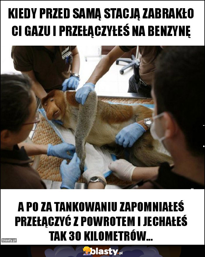 Kiedy przed samą stacją zabrakło Ci gazu i przełączyłeś na benzynę