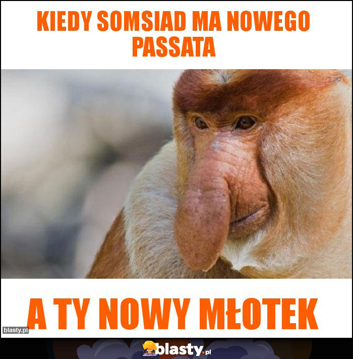 Kiedy somsiad ma nowego passata Kiedy somsiad ma nowego passata