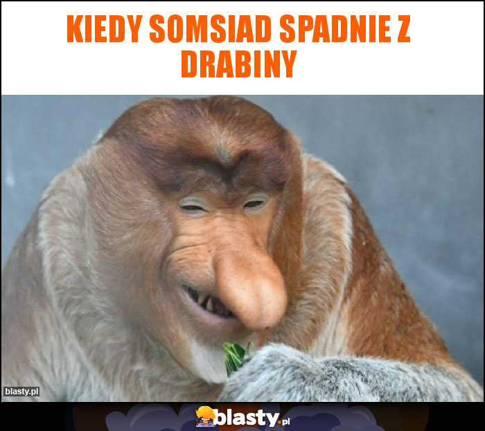 Kiedy somsiad spadnie z drabiny Kiedy somsiad spadnie z drabiny
