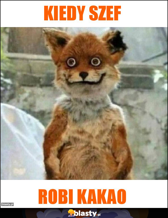 Kiedy szef Kiedy szef