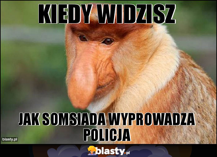 KIEDY WIDZISZ KIEDY WIDZISZ