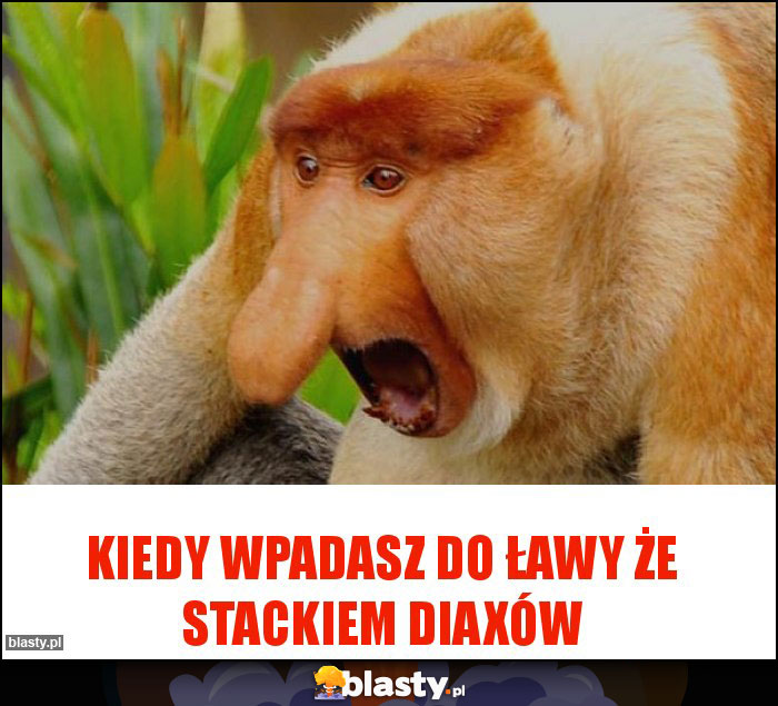 Kiedy wpadasz do ławy że stackiem diaxów Kiedy wpadasz do ławy że stackiem diaxów