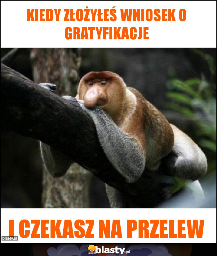 Kiedy złożyłeś wniosek o gratyfikacje Kiedy złożyłeś wniosek o gratyfikacje