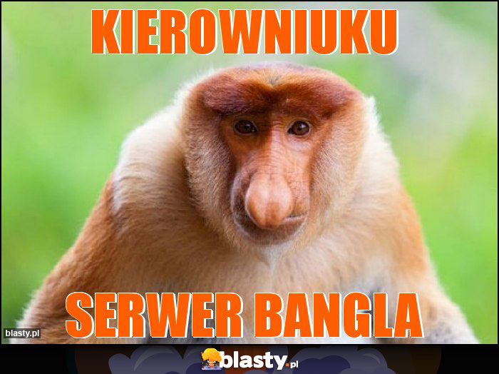 kierowniuku kierowniuku
