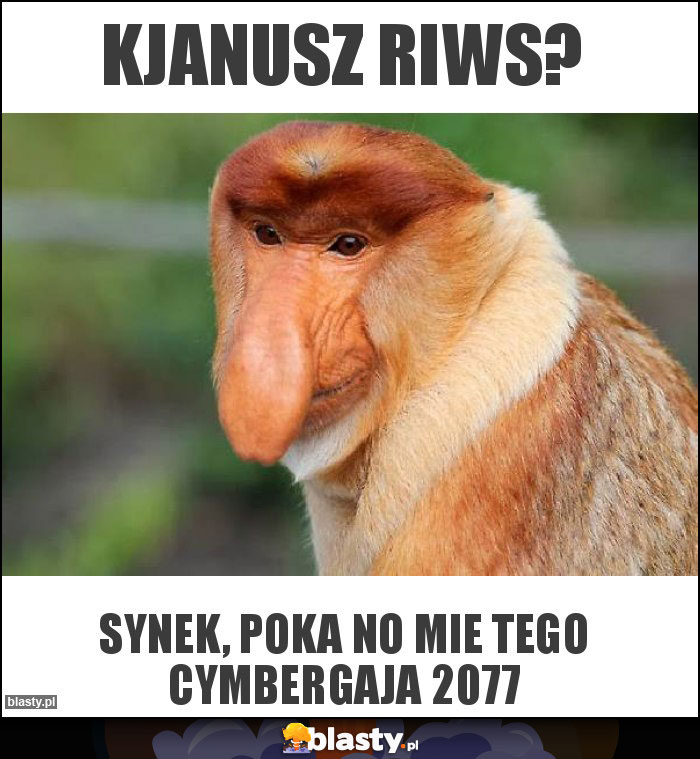 Kjanusz Riws? Kjanusz Riws?