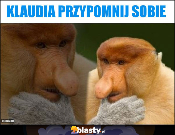 KLAUDIA PRZYPOMNIJ SOBIE KLAUDIA PRZYPOMNIJ SOBIE