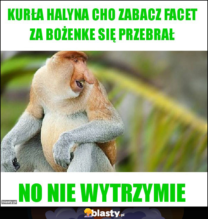 Kurła Halyna Cho zabacz Facet za Bożenke się przebrał Kurła Halyna Cho zabacz Facet za Bożenke się przebrał
