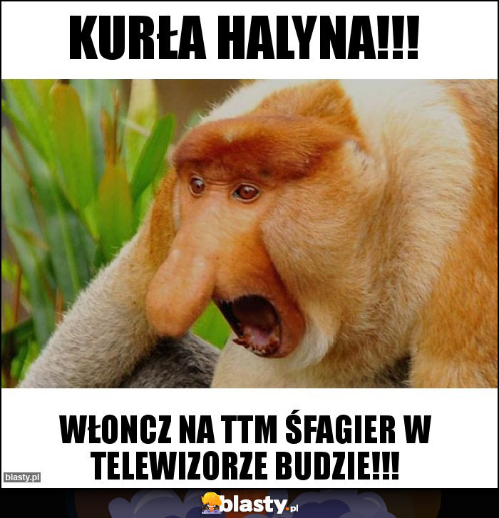 KURŁA HALYNA!!! KURŁA HALYNA!!!