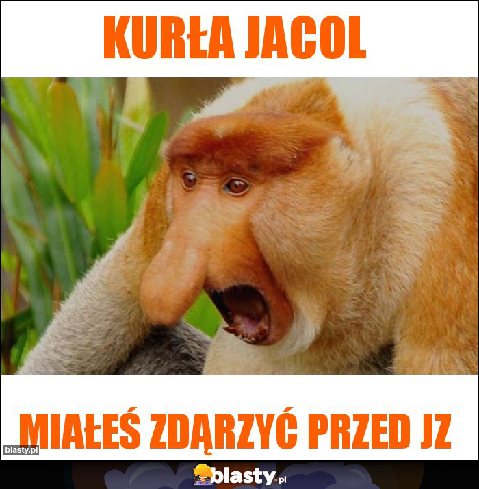 Kurła Jacol Kurła Jacol