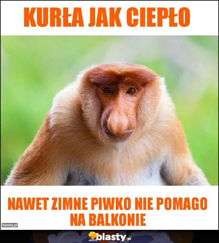 Kurła jak ciepło