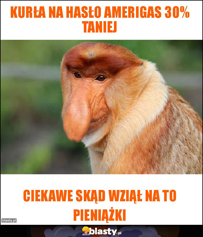 Kurła na hasło Amerigas 30% taniej Kurła na hasło Amerigas 30% taniej