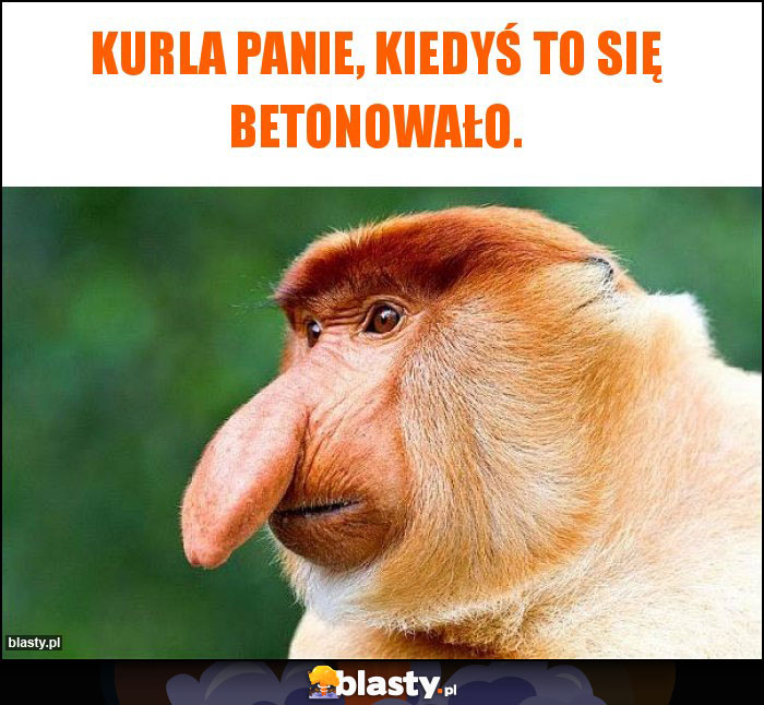 Kurla Panie, kiedyś to się betonowało. Kurla Panie, kiedyś to się betonowało.