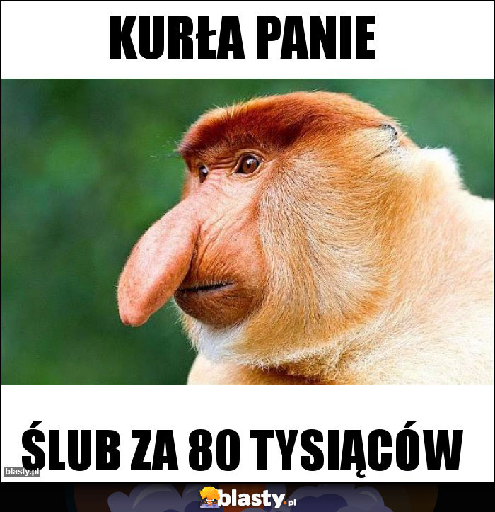 Kurła panie Kurła panie