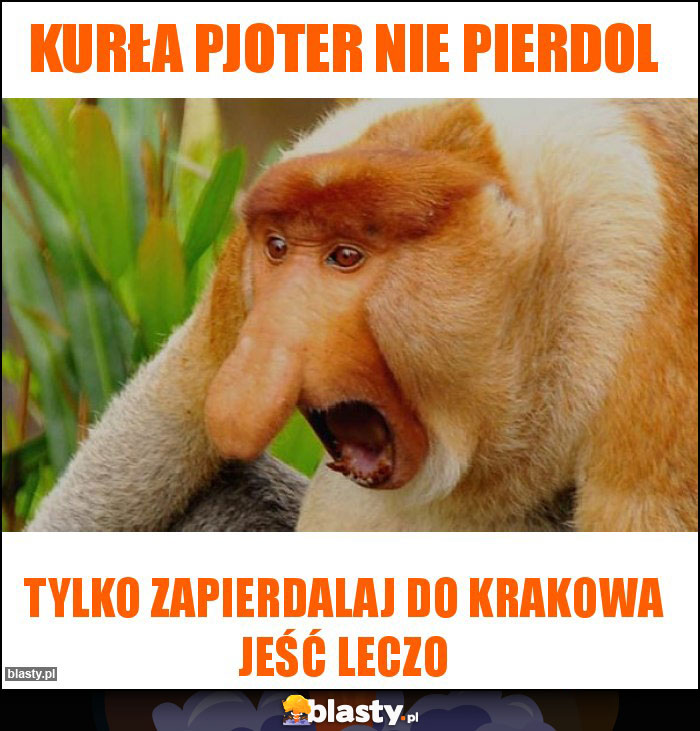 Kurła Pjoter Nie pierdol Kurła Pjoter Nie pierdol